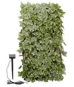 Smart Garden Solar-Spalier Efeu, Ca. 180 Cm