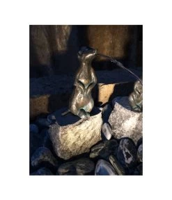 Rottenecker Bronze-Erdmännchen Auf Granit, Wasserspeiend