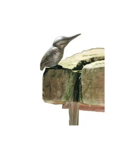 Rottenecker Bronzefigur Eisvogel