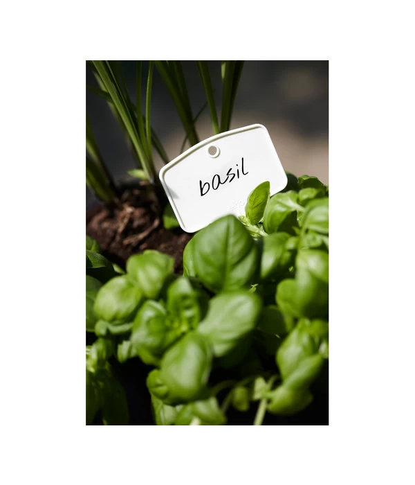 Elho Pflanz-Stift, 5 Stück - Image 3