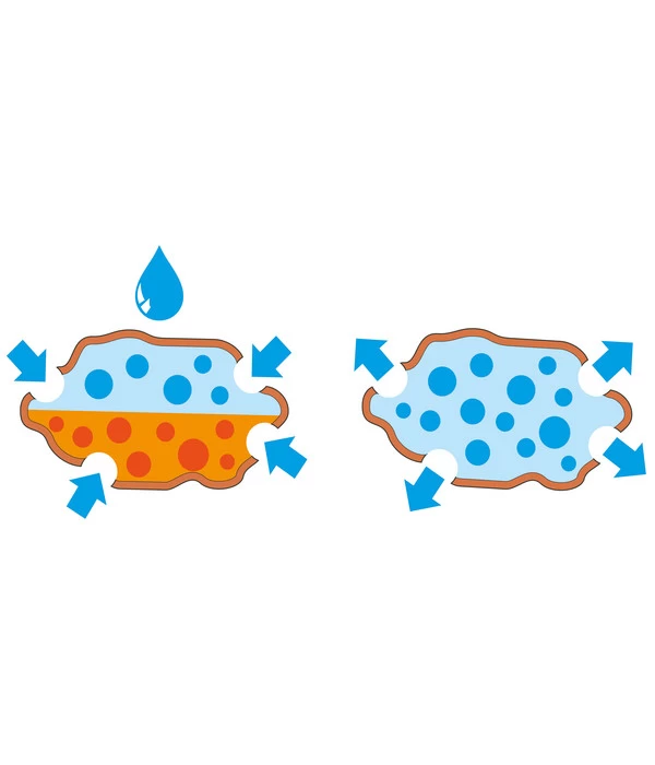 Seramis Spezial-Substrat Für Orchideen - Image 4