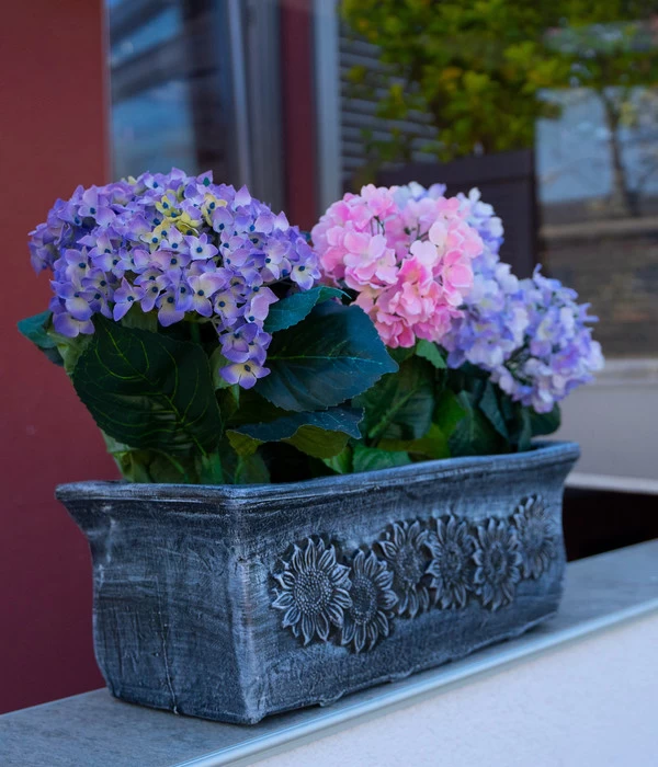 Roto Kunststoff-Pflanzkasten Planika, Rechteckig, Dunkelgrau, Ca. B49,5/H18,5/T20,5 Cm - Image 2