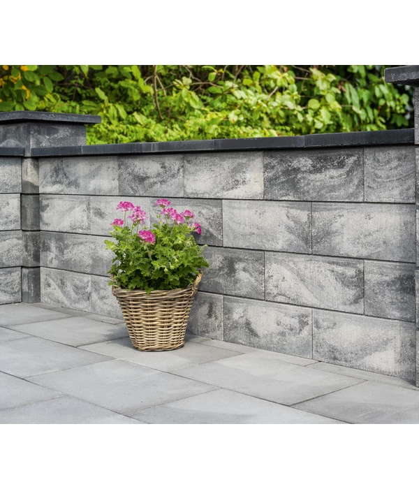 Diephaus Mauerstein Gardo - Image 3