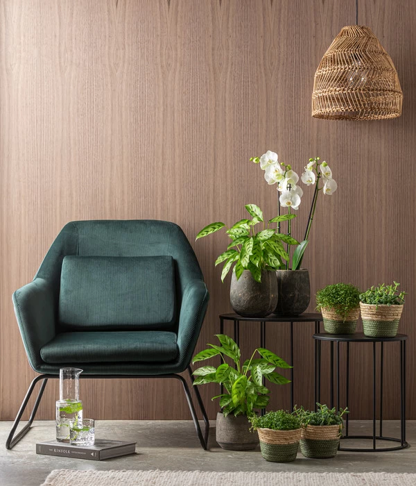 Dehner Seegras-Korb Phil, Rund - Image 5