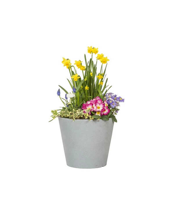 Scheurich Kunststoff-Topf C-Cone, Rund - Image 2