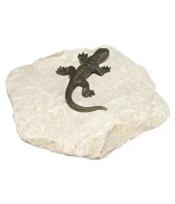 Rottenecker Bronzefigur Eidechse Auf Findling