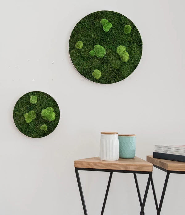 StyleGREEN Bild Aus Wald- Und Kugelmoos, Kreisförmig, Ca. Ø34 Cm - Image 3