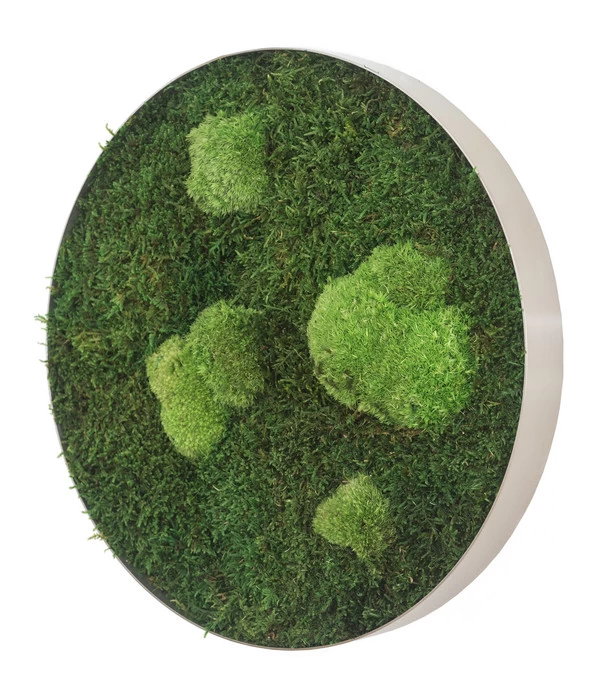 StyleGREEN Bild Aus Wald- Und Kugelmoos, Kreisförmig, Ca. Ø34 Cm - Image 2