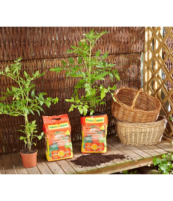 Floragard Aktiv Tomaten- Und Gemüseerde – Bild 2