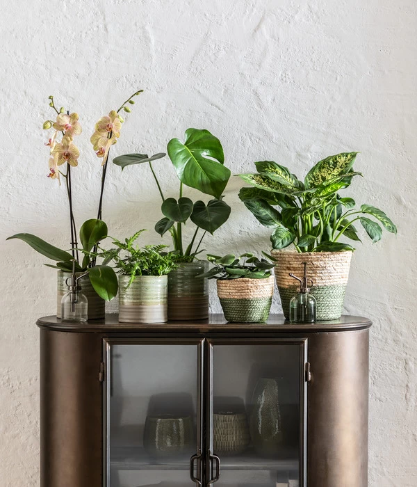 Dehner Seegras-Korb Phil, Rund - Image 2