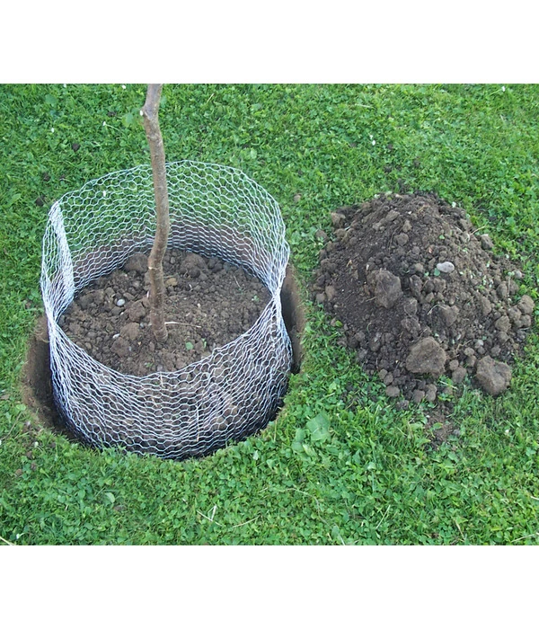 Wühlmauskorb - Image 2