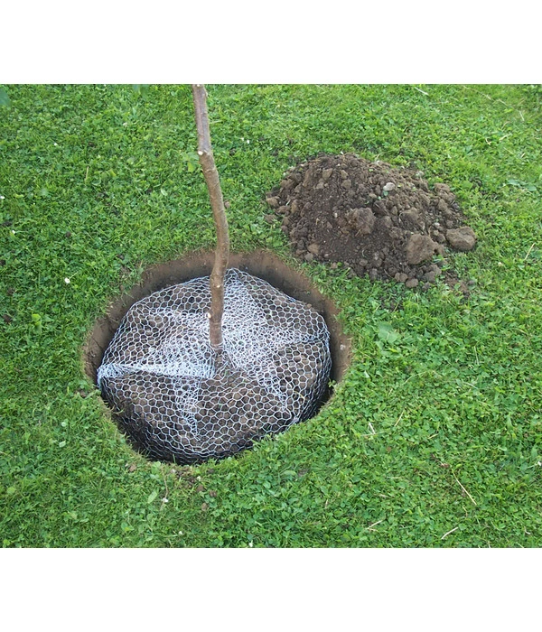 Wühlmauskorb - Image 3