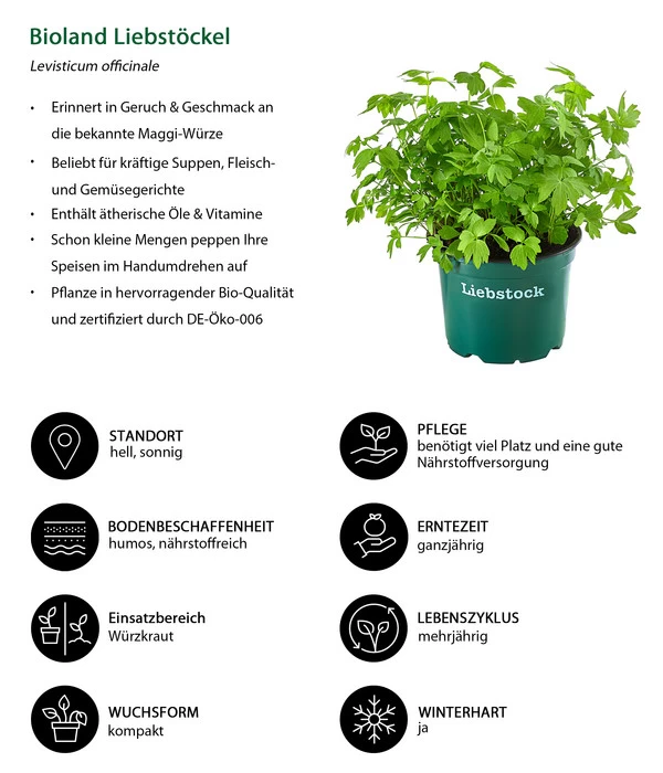Bioland Liebstöckel – Bild 2