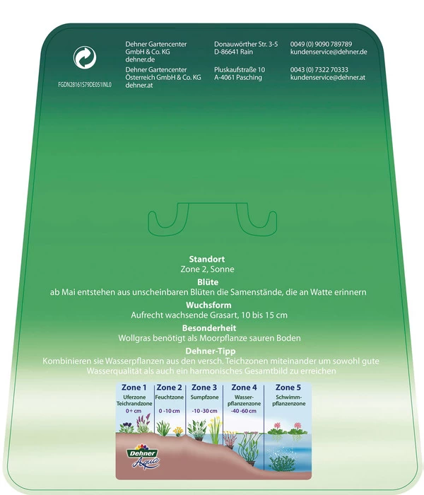 Schmalblättriges Wollgras - Image 6