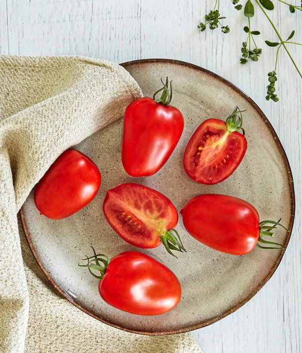 Bioland Eiertomate - Image 3