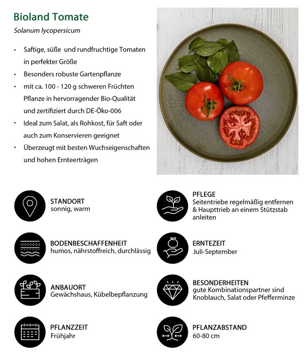 Bioland Tomate, Rundfruchtig – Bild 4